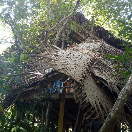Mermaid Cabana And Tree Houses Tangalle Eksteriør bilde