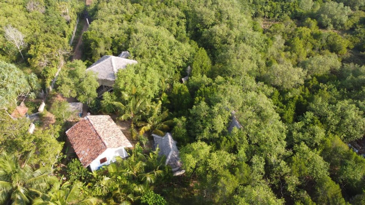 Mermaid Cabana And Tree Houses Tangalle Eksteriør bilde