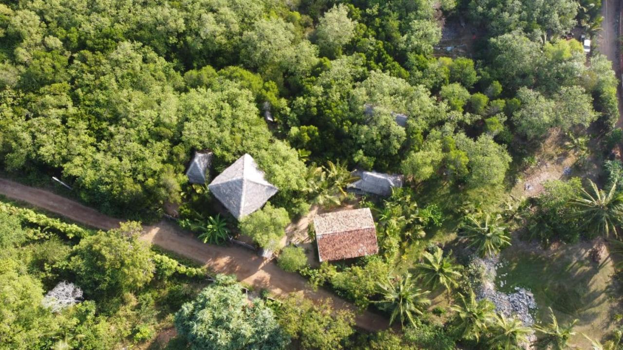 Mermaid Cabana And Tree Houses Tangalle Rom bilde