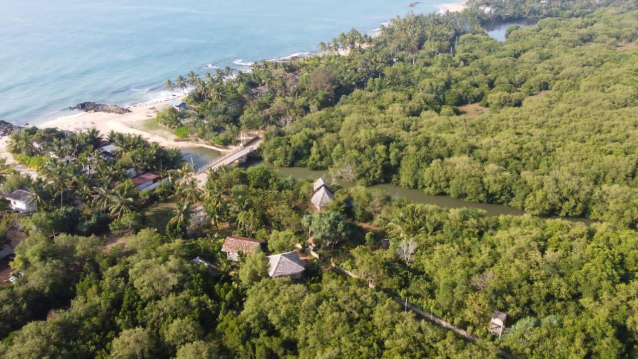 Mermaid Cabana And Tree Houses Tangalle Eksteriør bilde