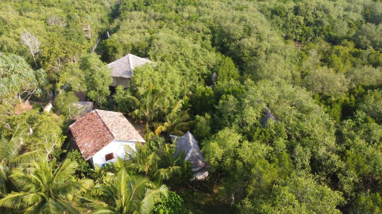 Mermaid Cabana And Tree Houses Tangalle Rom bilde