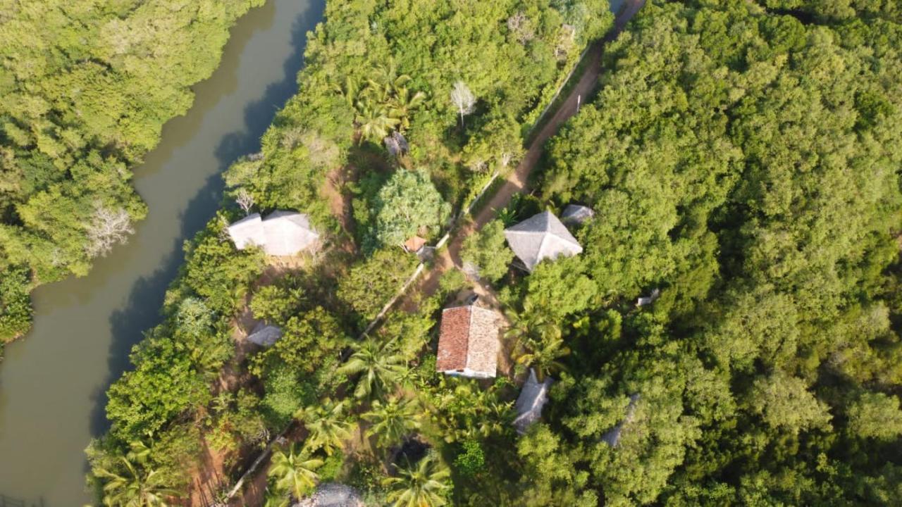 Mermaid Cabana And Tree Houses Tangalle Rom bilde