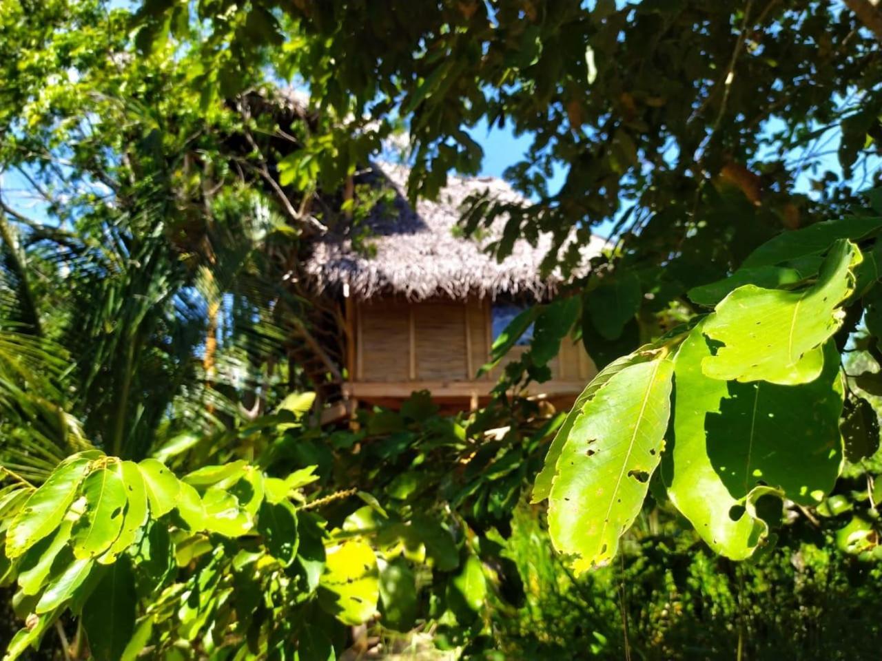 Mermaid Cabana And Tree Houses Tangalle Rom bilde