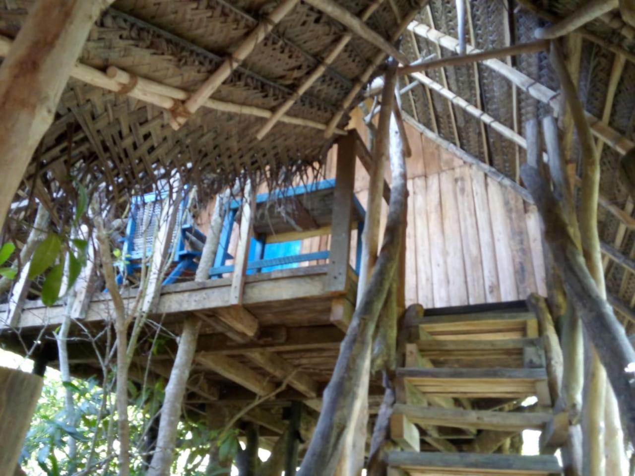 Mermaid Cabana And Tree Houses Tangalle Rom bilde