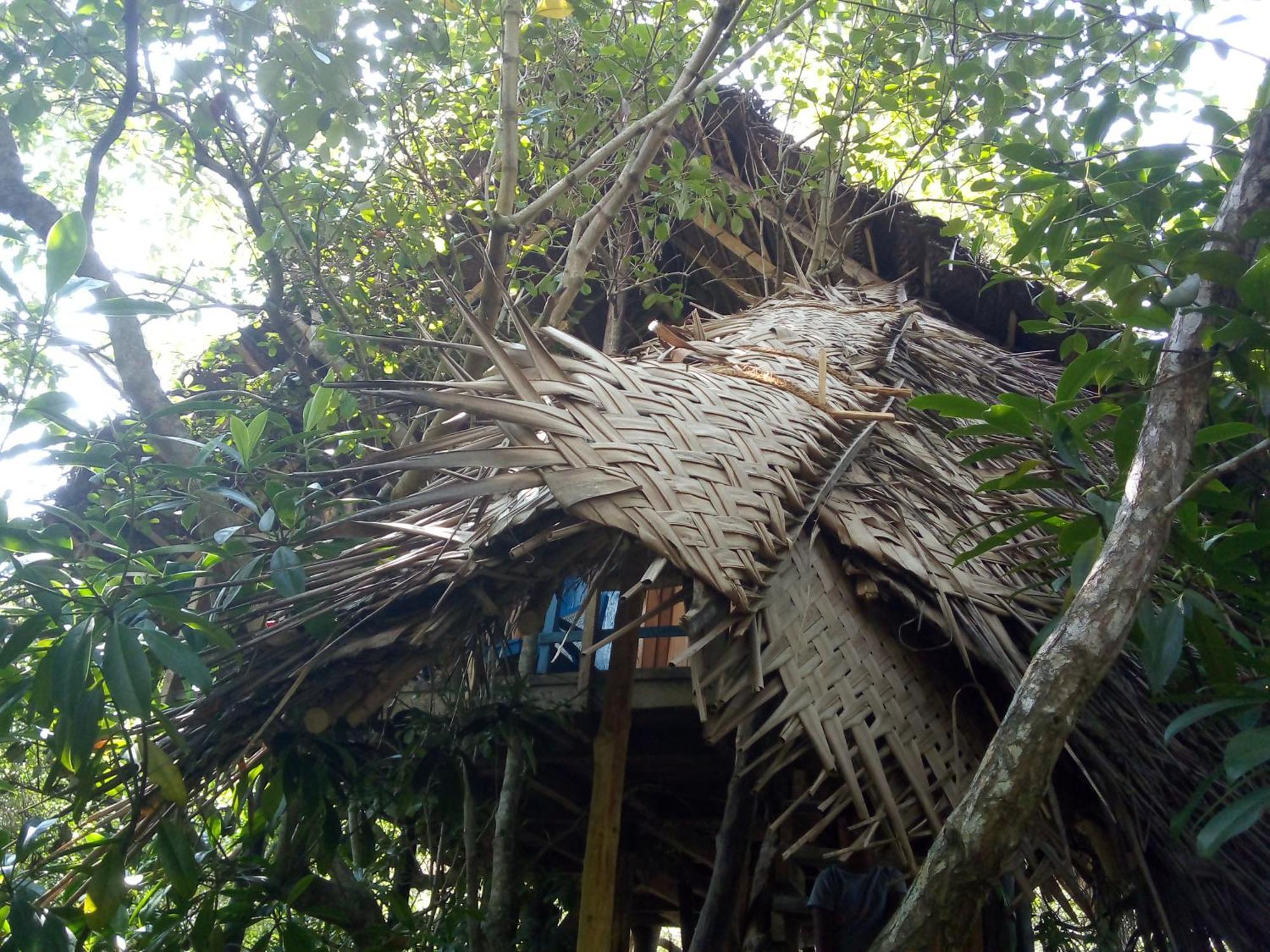 Mermaid Cabana And Tree Houses Tangalle Eksteriør bilde