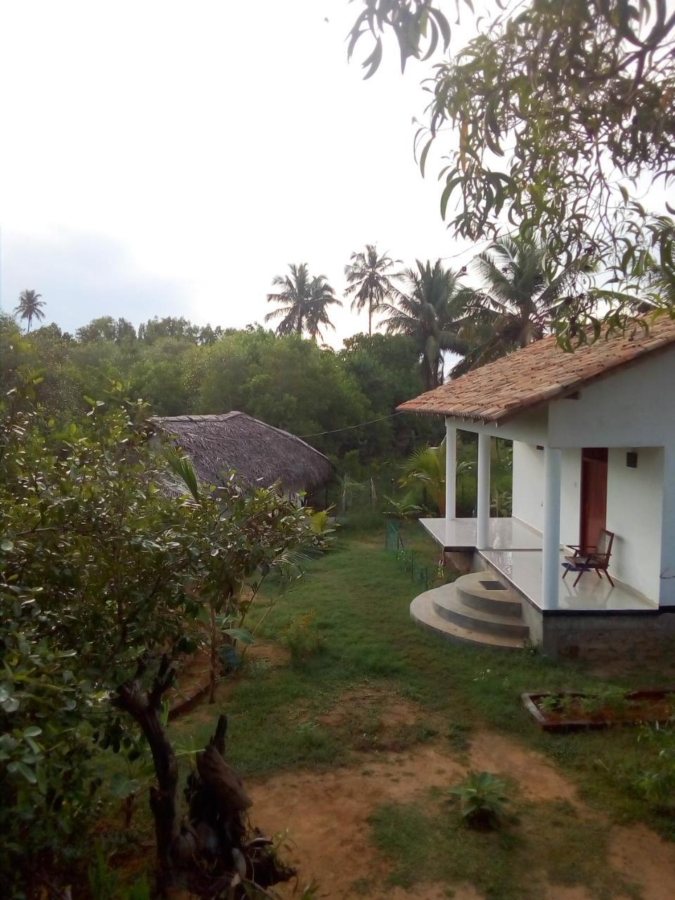Mermaid Cabana And Tree Houses Tangalle Eksteriør bilde