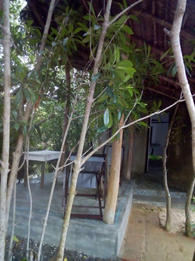 Mermaid Cabana And Tree Houses Tangalle Eksteriør bilde