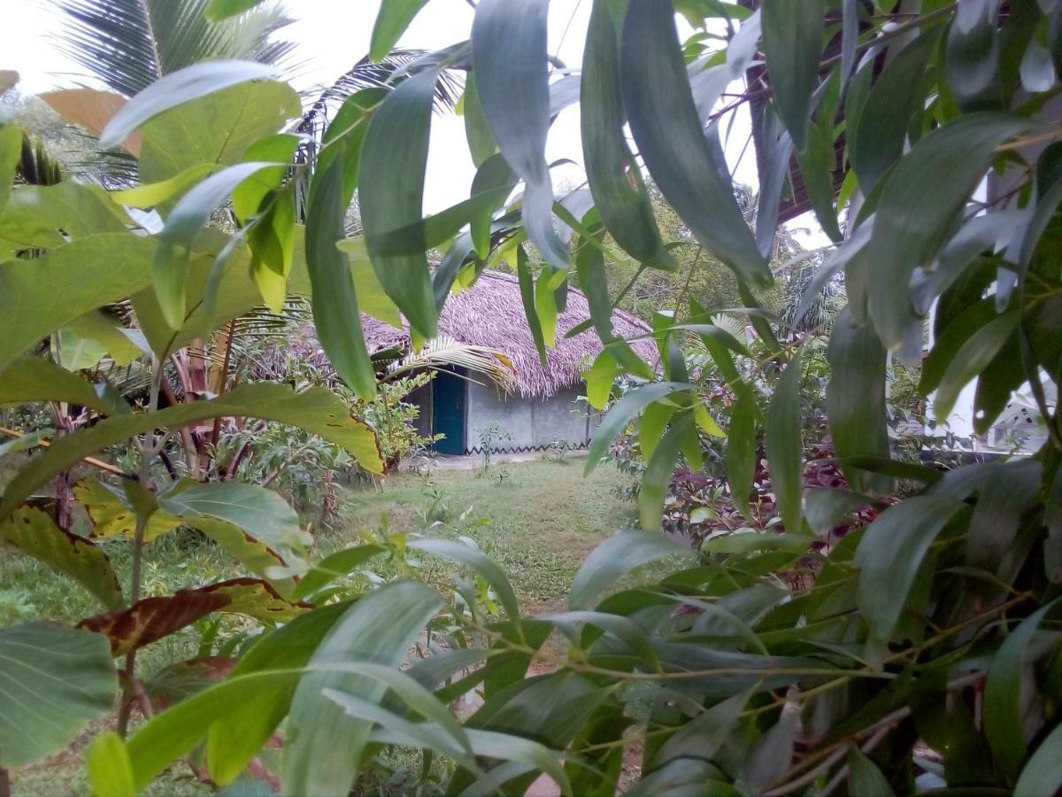 Mermaid Cabana And Tree Houses Tangalle Eksteriør bilde