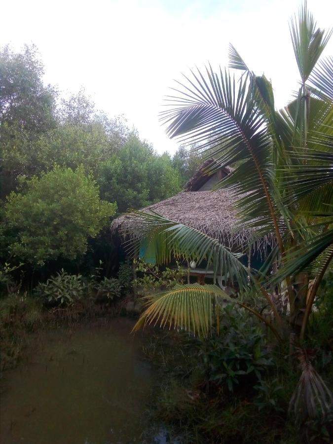 Mermaid Cabana And Tree Houses Tangalle Eksteriør bilde