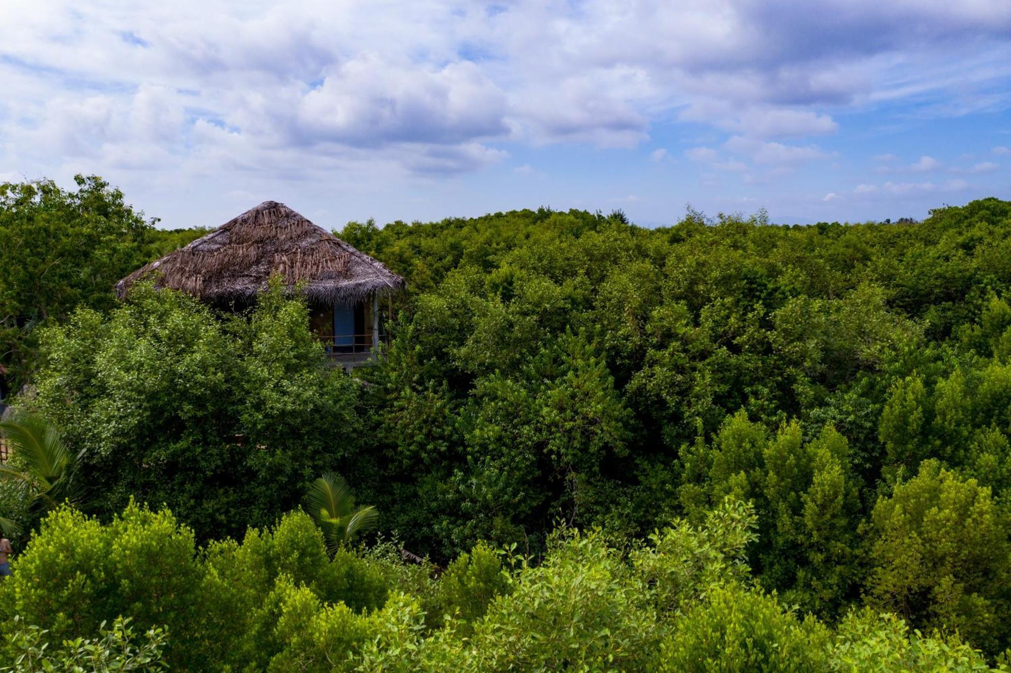 Mermaid Cabana And Tree Houses Tangalle Eksteriør bilde