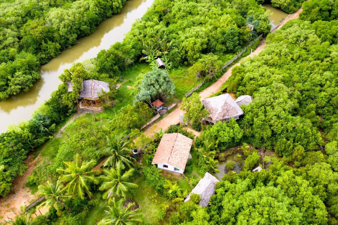 Mermaid Cabana And Tree Houses Tangalle Eksteriør bilde