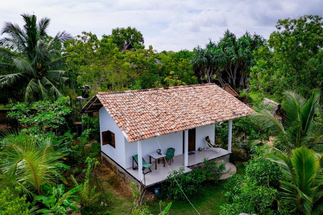 Mermaid Cabana And Tree Houses Tangalle Eksteriør bilde
