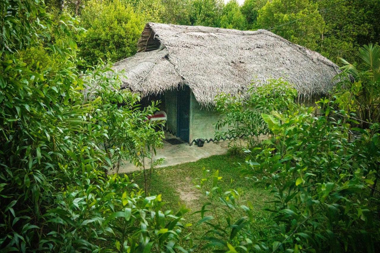 Mermaid Cabana And Tree Houses Tangalle Eksteriør bilde